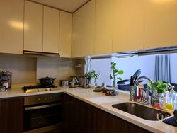 La Fiesta (D19), Condominium #355164051